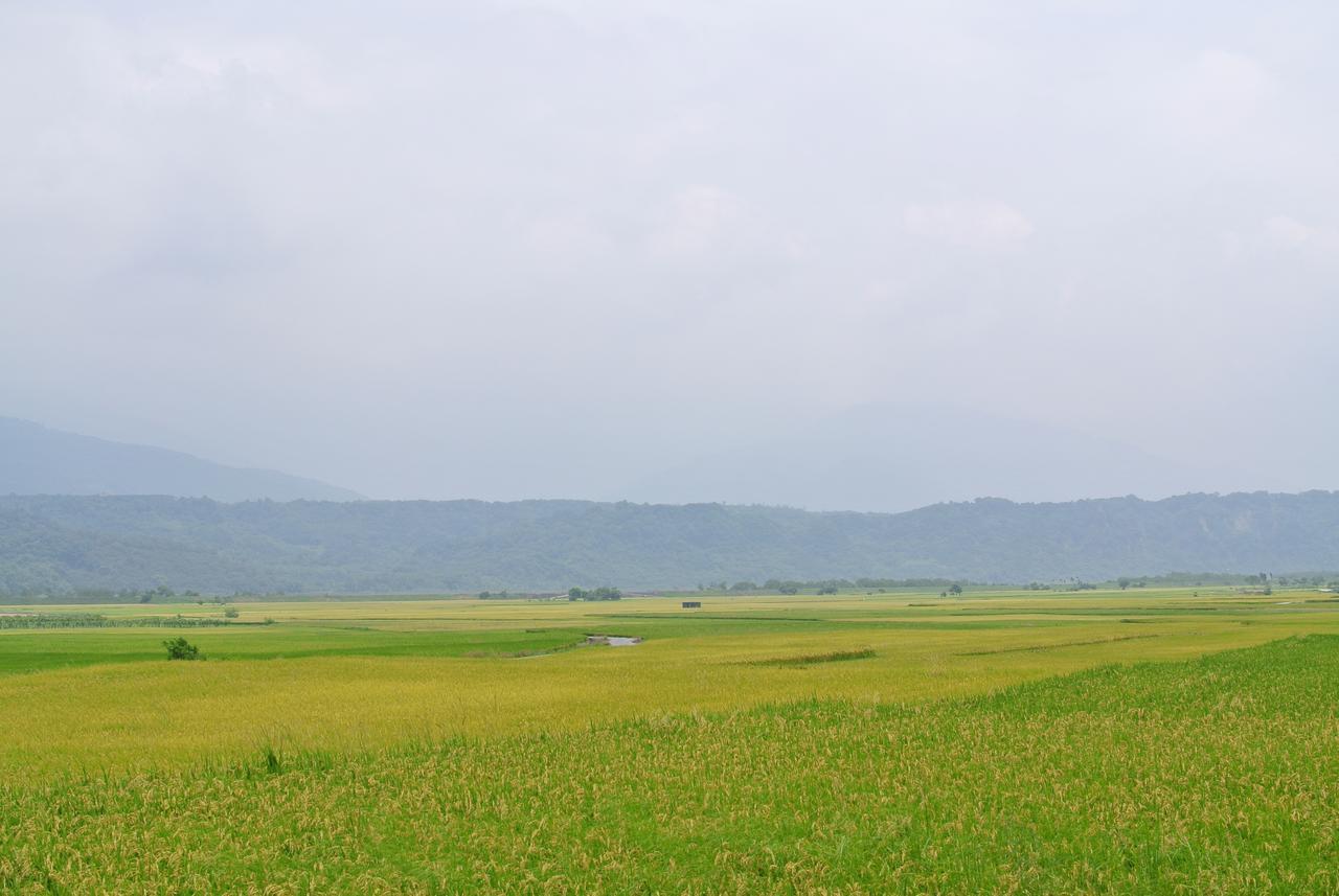 Pu Shi Homestay Yuli Esterno foto